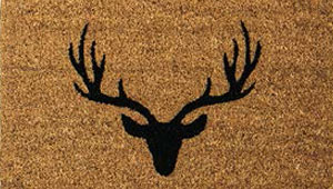 12-Point Buck