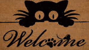 Welcome Cat Peeking